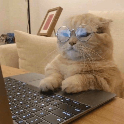 Gatitos 2.0 5