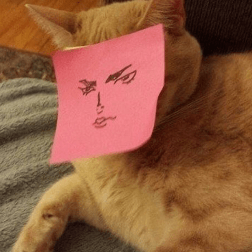 Gatitos 2.0 25