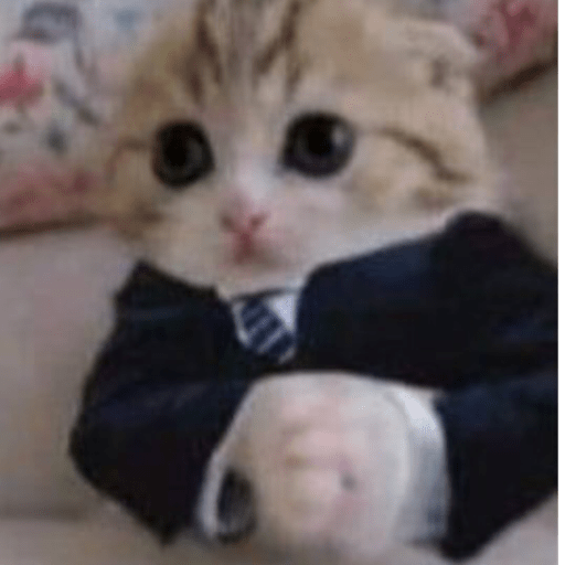 Gatitos 2.0 30
