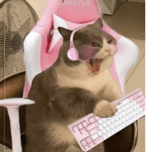 Gatitos 2.0 27