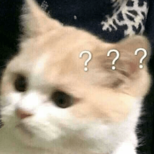 Gatitos 2.0 15