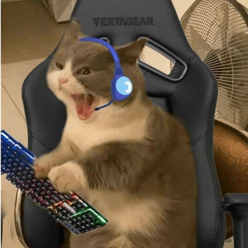 Gatitos 2.0 28