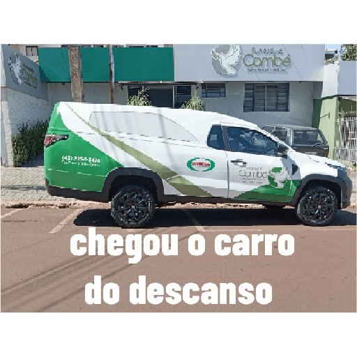 Celso 6