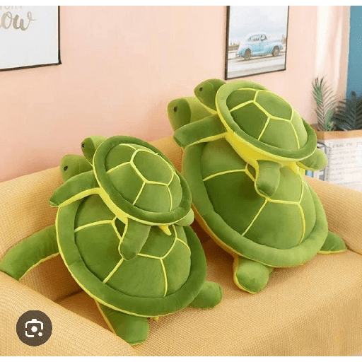 🐢 de peluche 4
