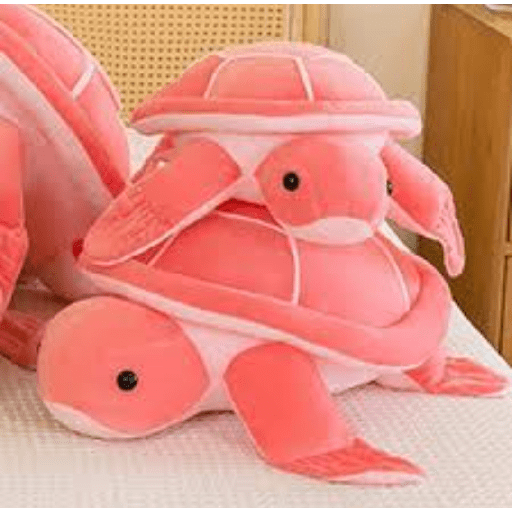 🐢 de peluche 13