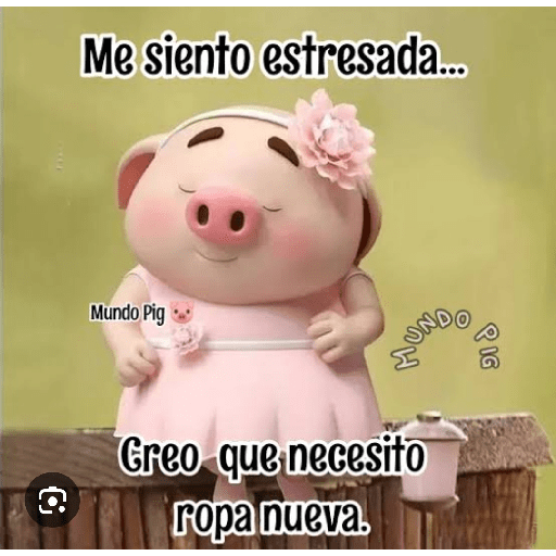 Mundo pig🐽🐷🐖 6