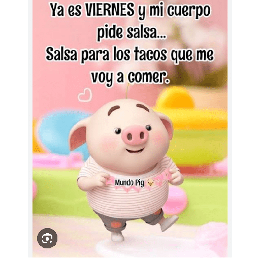 Mundo pig🐽🐷🐖 8
