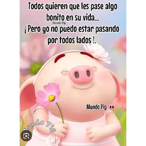Mundo pig🐽🐷🐖 7