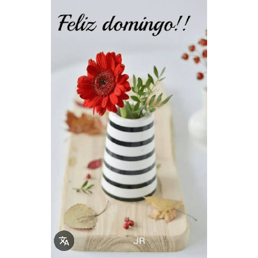 Feliz domingo con gerberas 🌹🌷 1