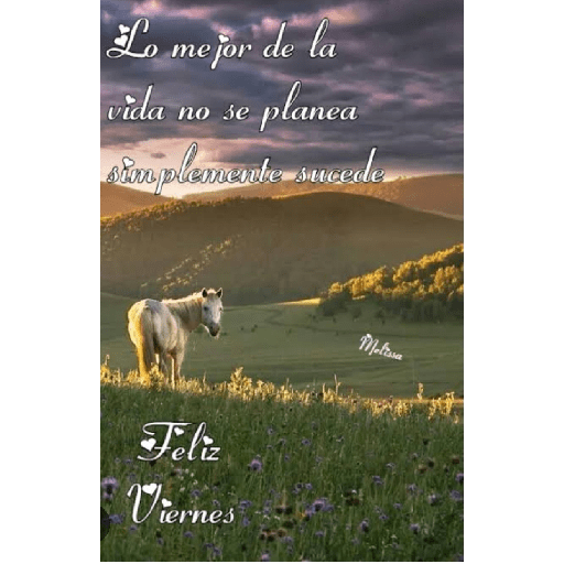 Feliz viernes con 🐴🐎