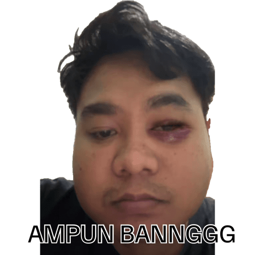 Meme 5