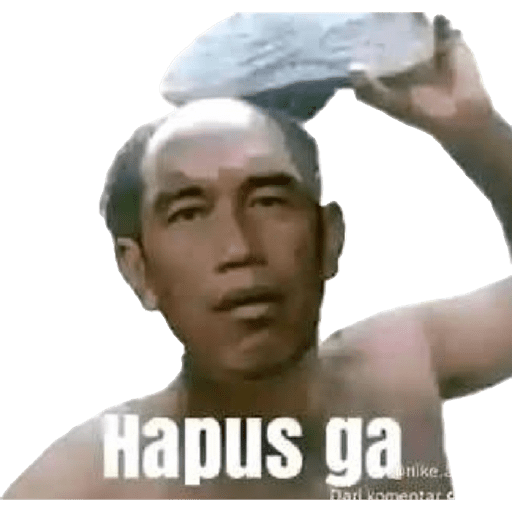 Meme 14