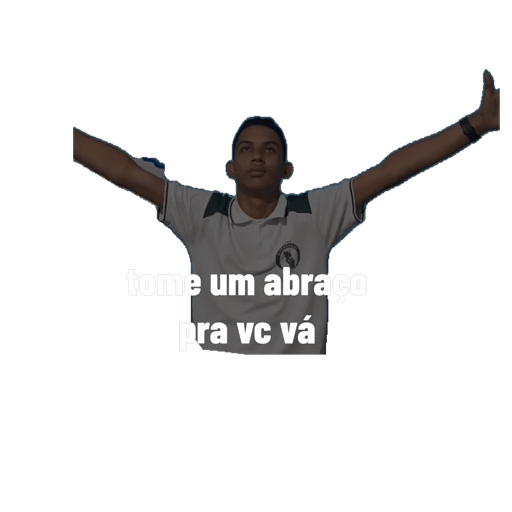 Minhas figurinhas 2