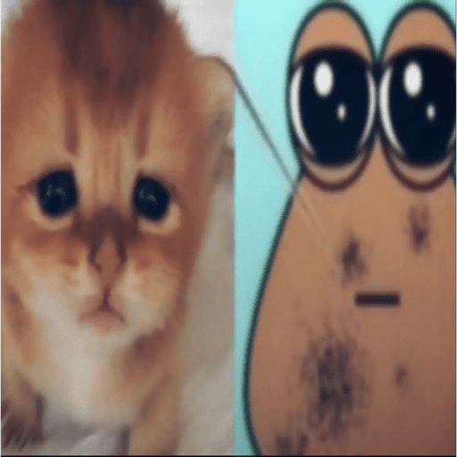 ñam 5