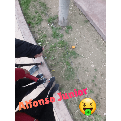 Aceituna🍐 20