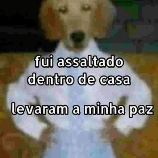 Reações I 20
