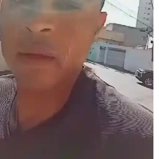 OLIVEIRA  13