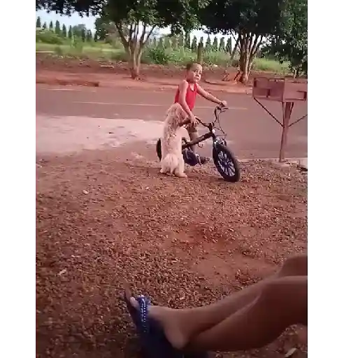 Gifs 7