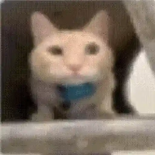 Opa