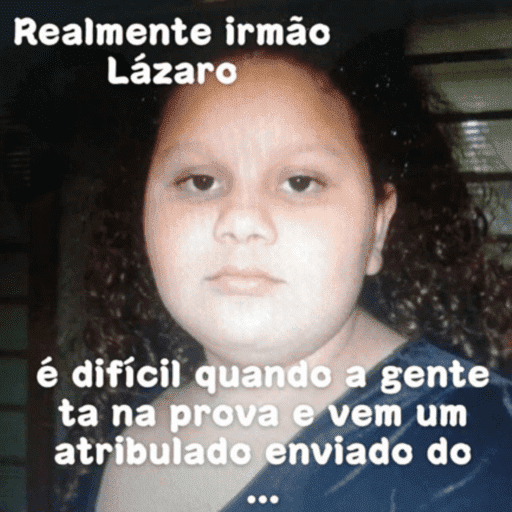 Minhas figurinhas 25