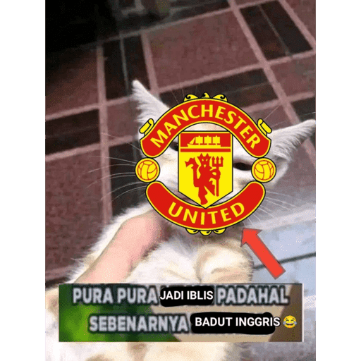 Moi imut 12