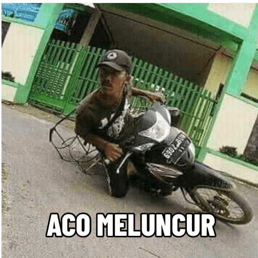 Moi imut 22