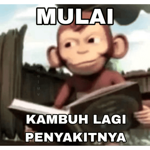Moi imut 14