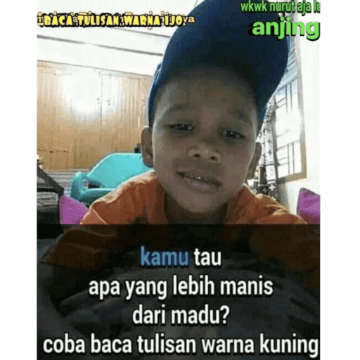 Moi imut 11