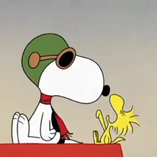 Snoopy <3 11