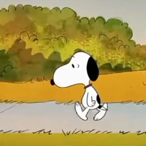 Snoopy <3 16