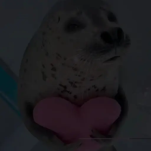 Randomm 9