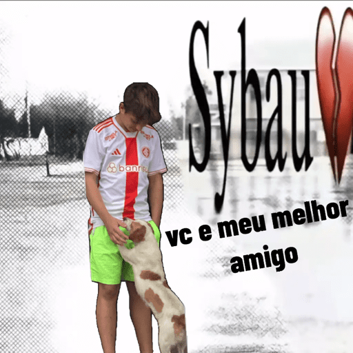 Minhas figurinhas 6