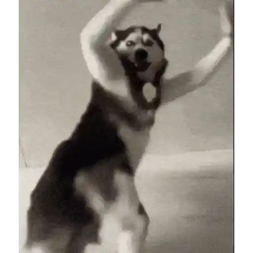 Wndiiiiiiiiiiiiiiiiiiiiii 11