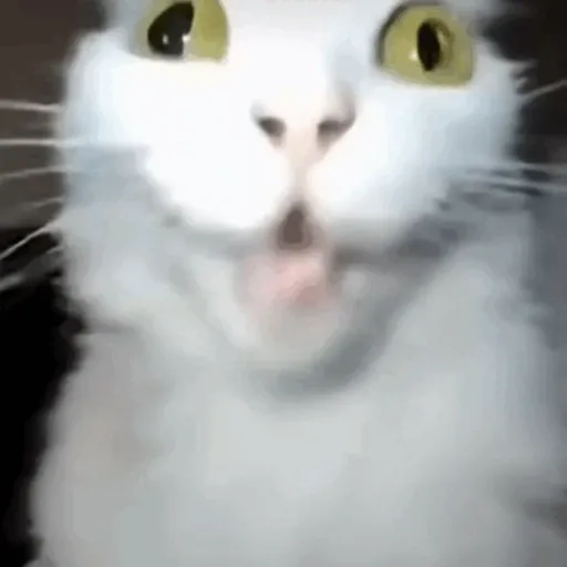 Wndiiiiiiiiiiiiiiiiiiiiii 12