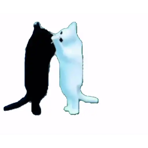 Wndiiiiiiiiiiiiiiiiiiiiii 1