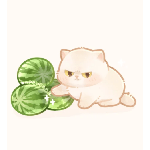 Cute cat#3 16