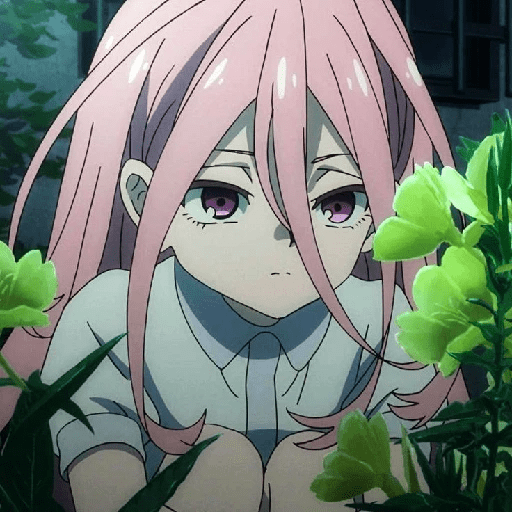 Anime Expresión 27 11