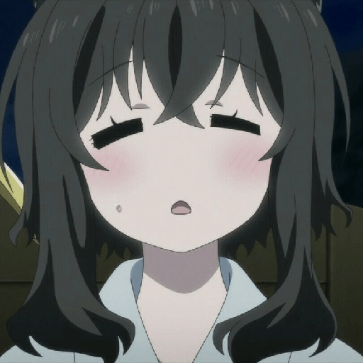 Anime Expresión 27 22