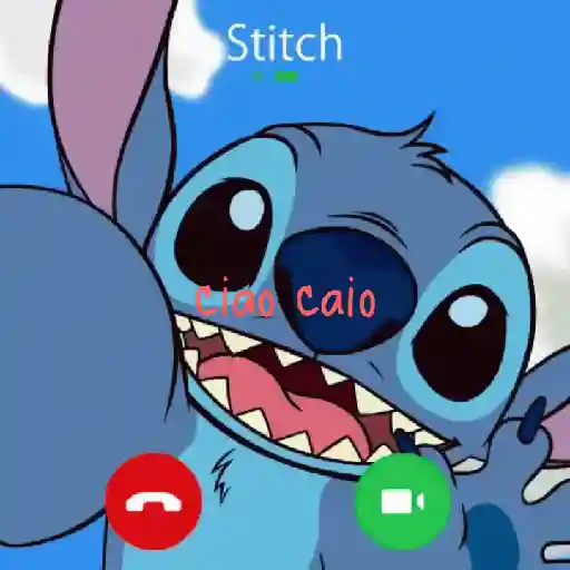 Stich 8