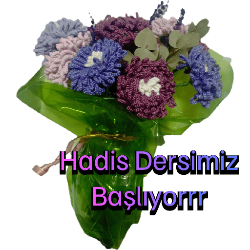 Ilim ders paketi