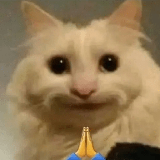 Reação de Gatos | Reacción 🐈 5