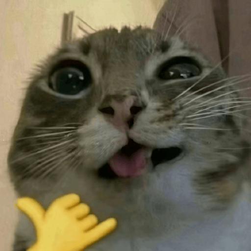 Reação de Gatos | Reacción 🐈 13