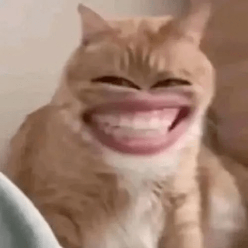 Reação de Gatos | Reacción 🐈 12