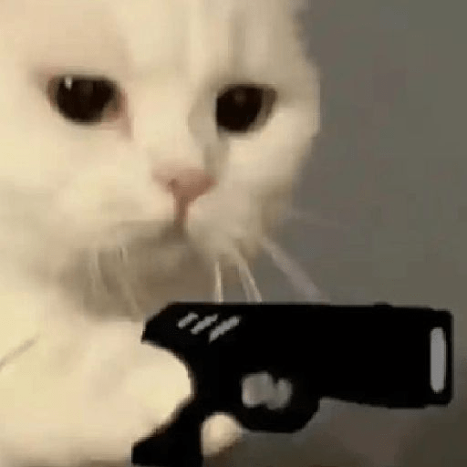 Reação de Gatos | Reacción 🐈 7