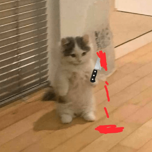 Reação de Gatos | Reacción 🐈 8