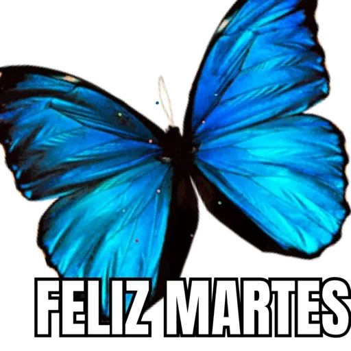 VARIOS  27