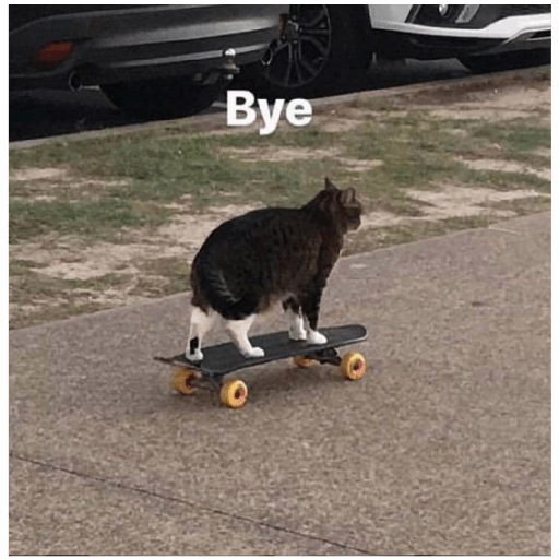 Memes#4 2