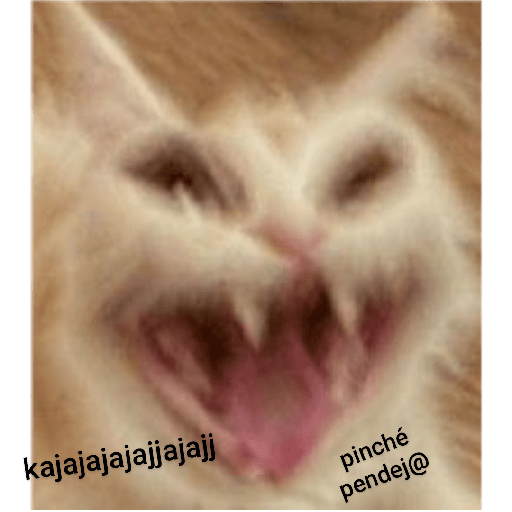 Memes#4 14