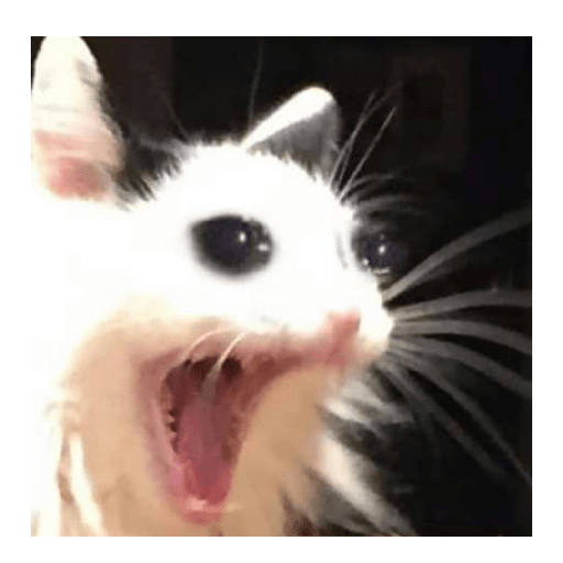 Memes#4 13
