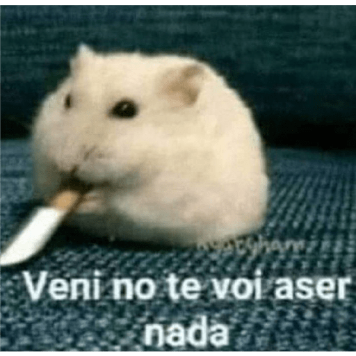 Memes#4 23